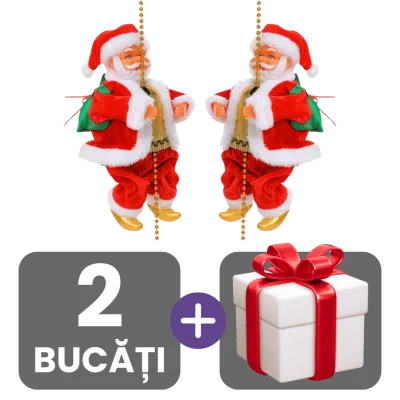 2 bucati