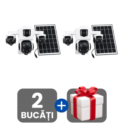 2 bucati