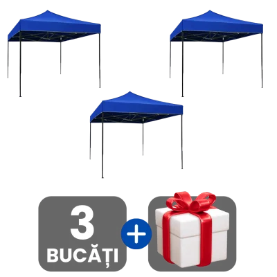 3 bucati
