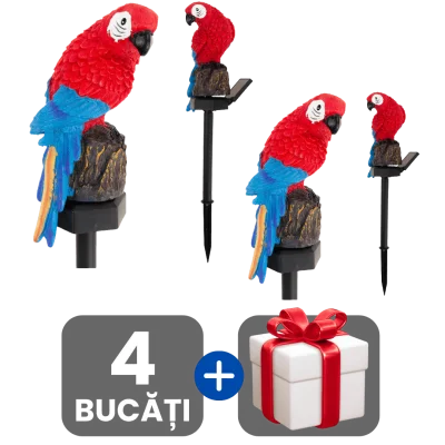 2 bucati