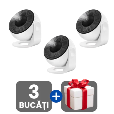 3 bucati
