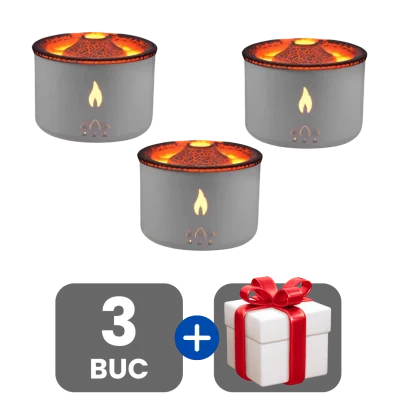 3 bucati