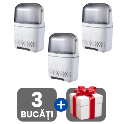 3 bucati