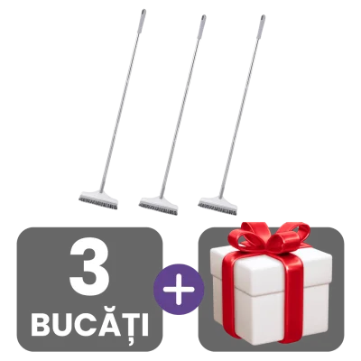 3 bucati