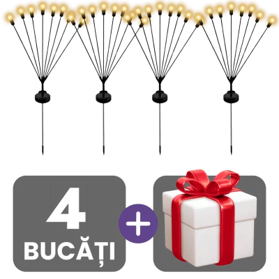 2 bucati