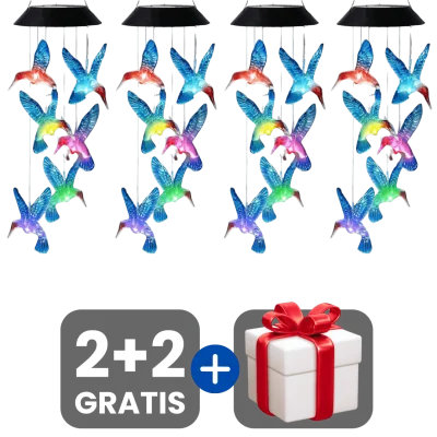 2 bucati