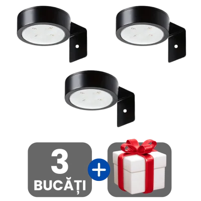 3 bucati