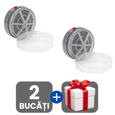 2 bucati