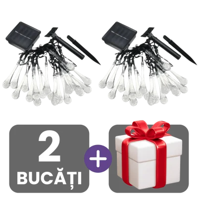 2 bucati