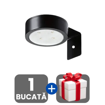 1 bucata
