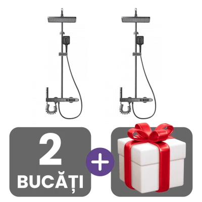 2 bucati