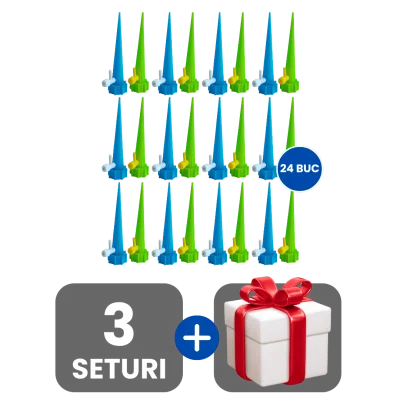 3 bucati