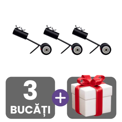 3 bucati