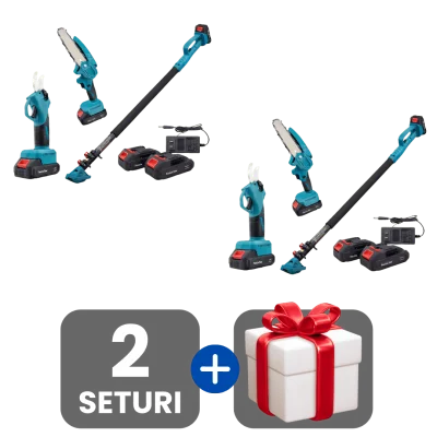 2 bucati