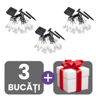 3 bucati