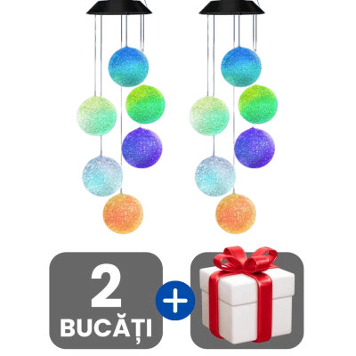 2 bucati
