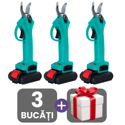 3 bucati