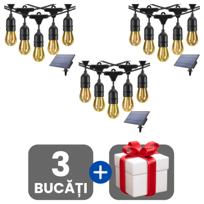 3 bucati