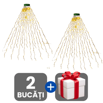 2 bucati