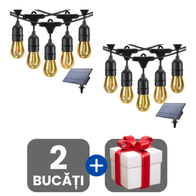 2 bucati