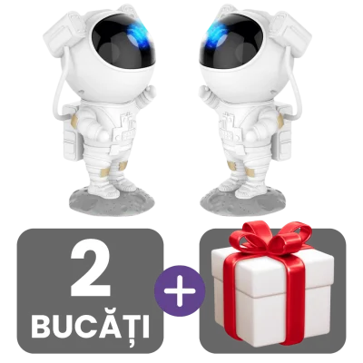 2 bucati