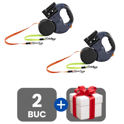 2 bucati