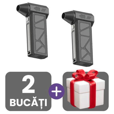 2 bucati