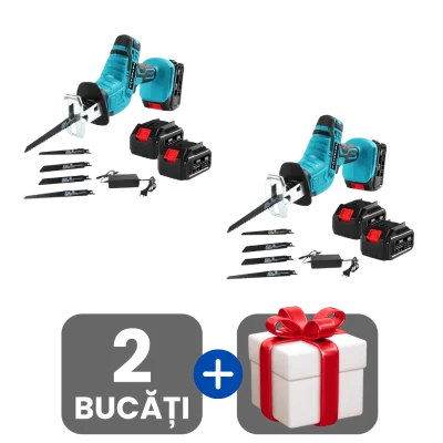 2 bucati