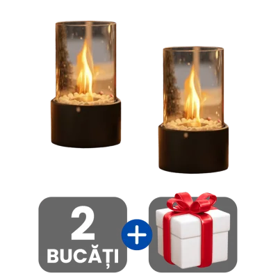2 bucati