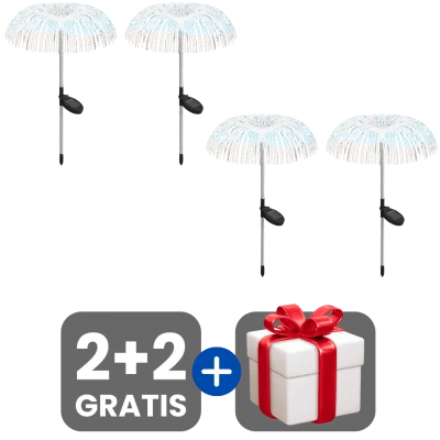 2 bucati