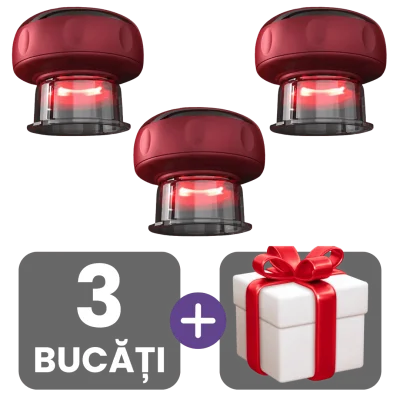 3 bucati