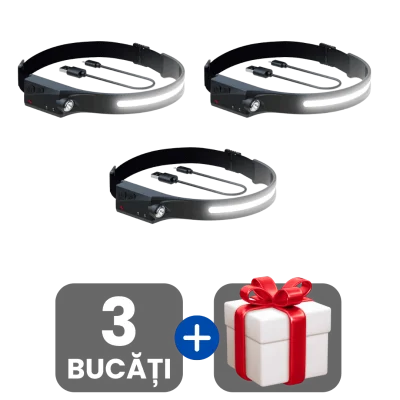 3 bucati