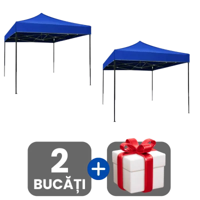 2 bucati