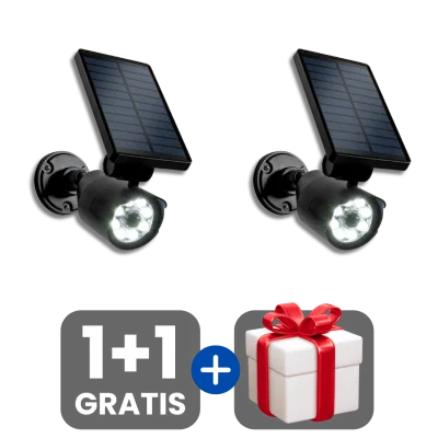 1 bucata