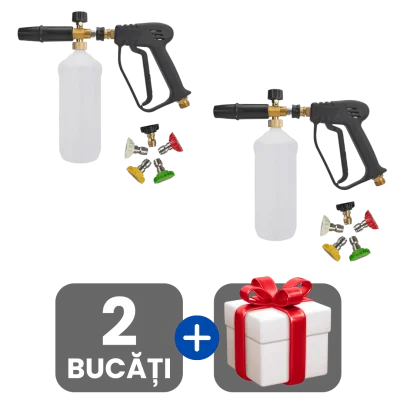 2 bucati