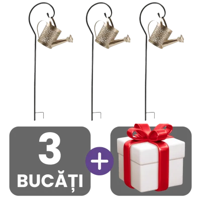 3 bucati