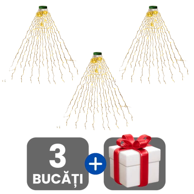 3 bucati