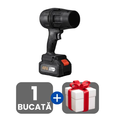 1 bucata