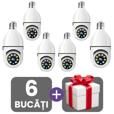3 bucati