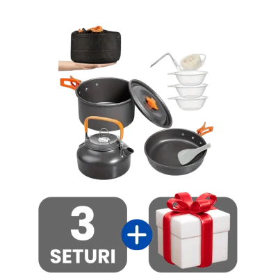 3 bucati