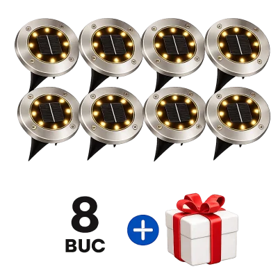 2 bucati