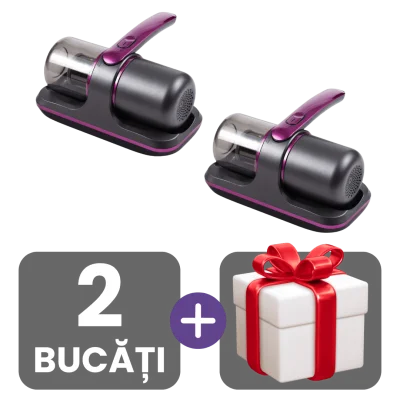 2 bucati