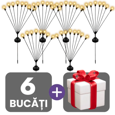 3 bucati