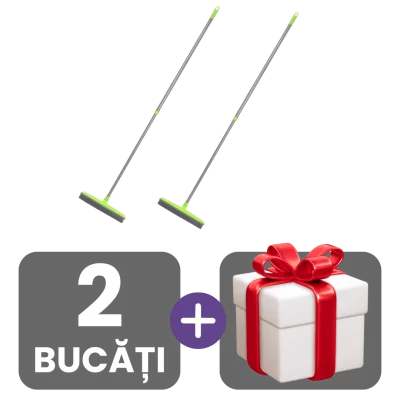2 bucati