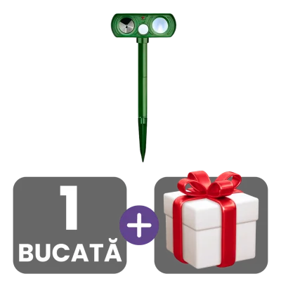 1 bucata