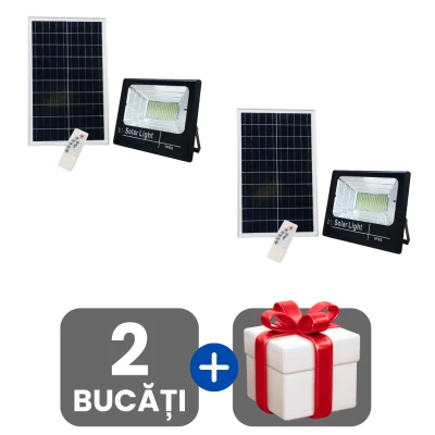2 bucati