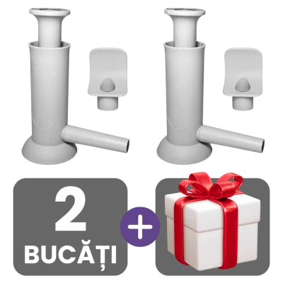 2 bucati