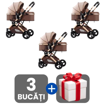 3 bucati