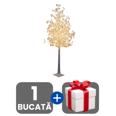 1 bucata