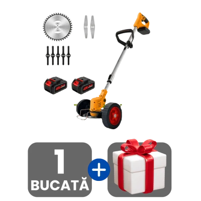 1 bucata